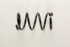 FORD 4104711 Coil Spring